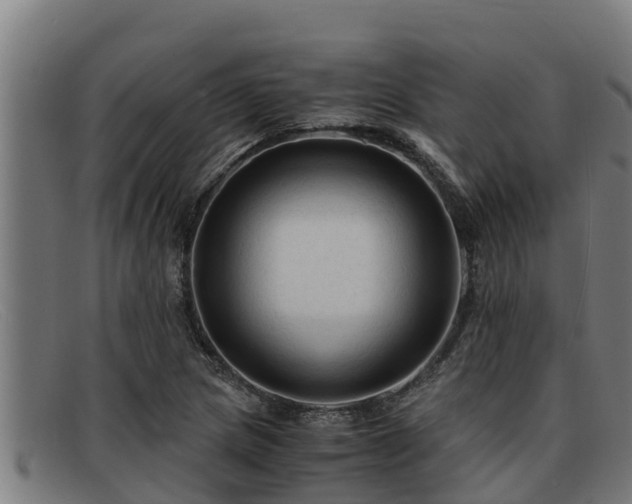 X0000091861217200709121323