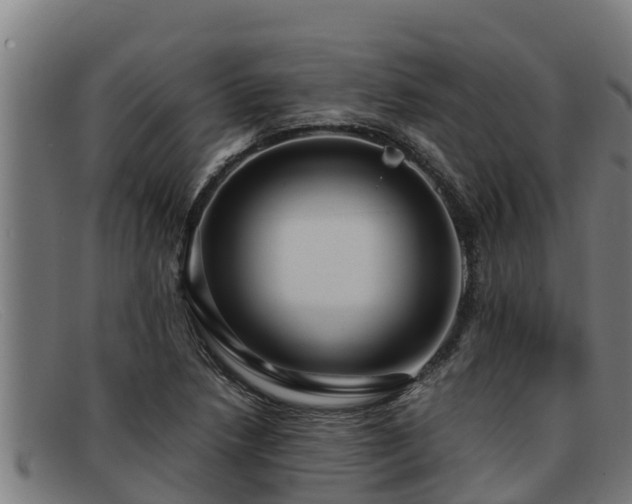 X0000091861218200709121323