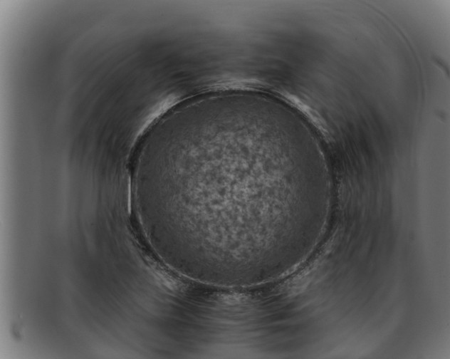 X0000091861219200709121323