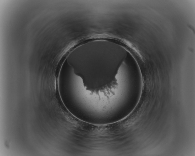 X0000091861221200709121323