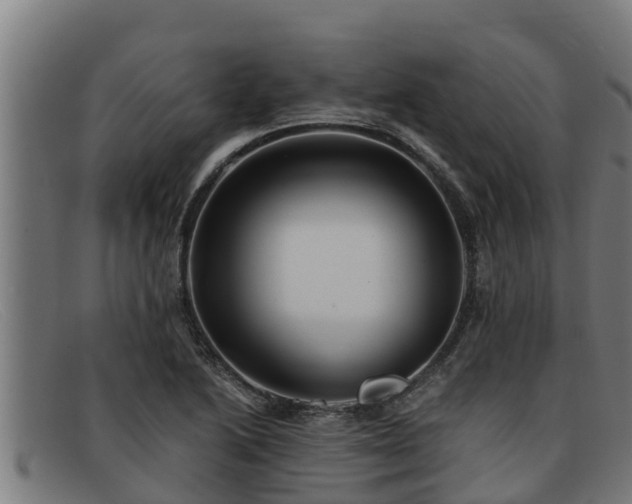 X0000091861222200709121323