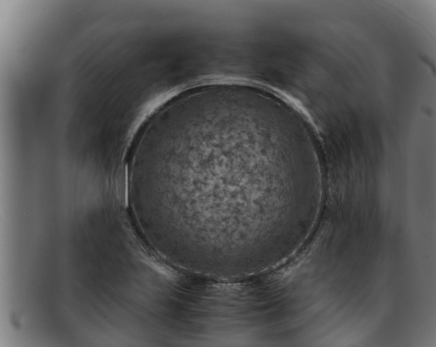 X0000091861223200709121323