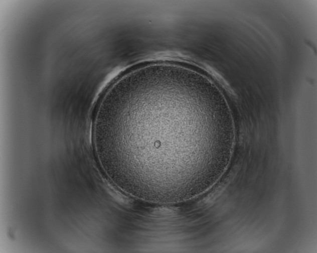 X0000091861224200709121323