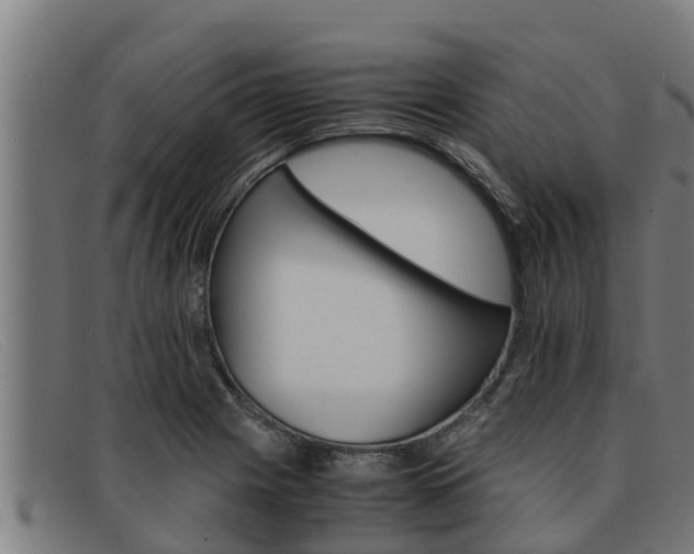 X0000091861225200709121323