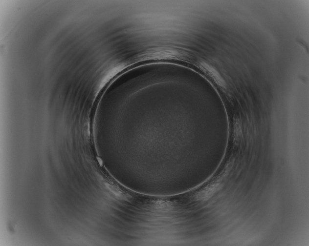 X0000091861226200709121323