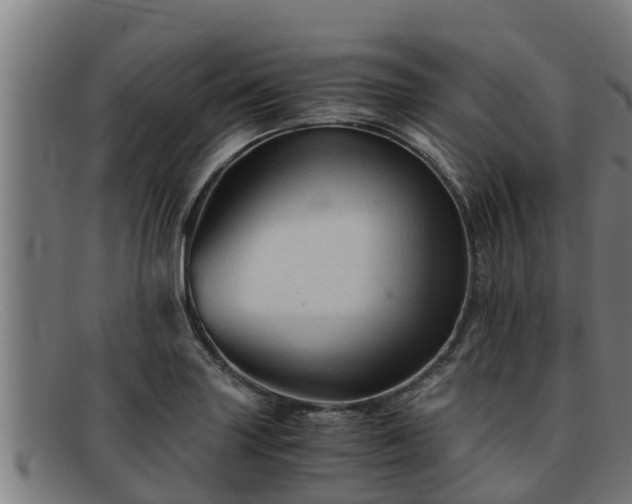 X0000091861227200709121323