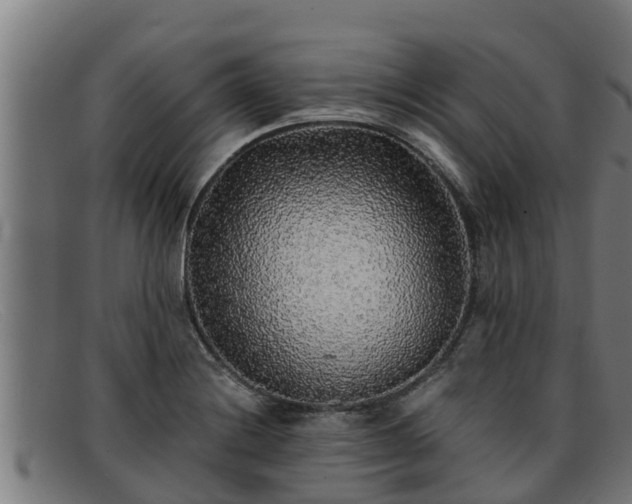 X0000091861228200709121323