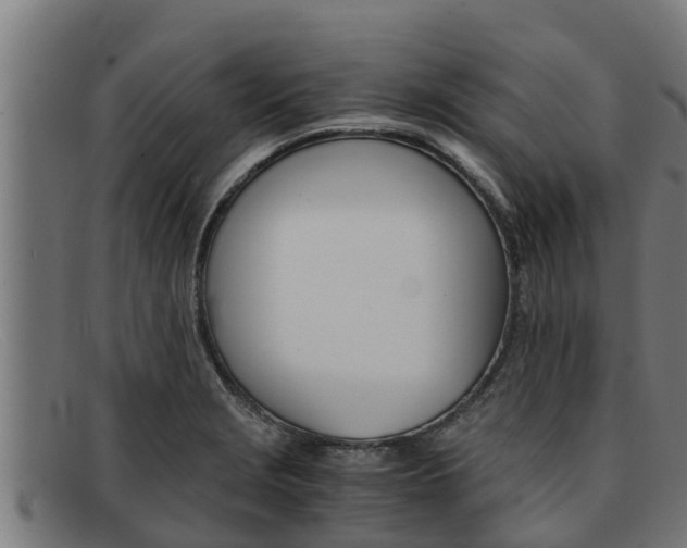 X0000091861229200709121323