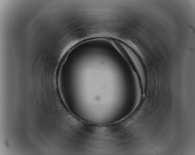 X0000091861230200709121323