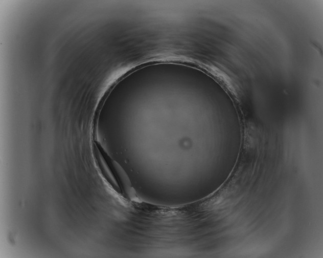 X0000091861231200709121323