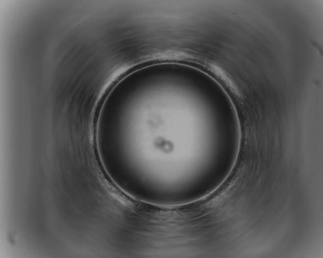 X0000091861232200709121323