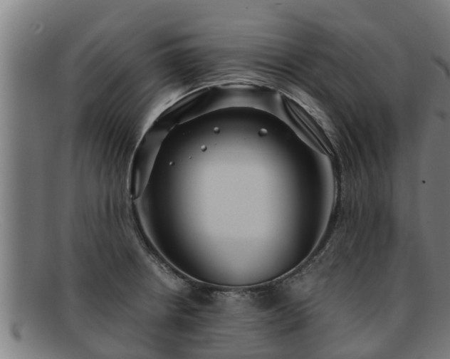 X0000091861234200709121323