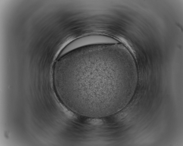 X0000091861235200709121323