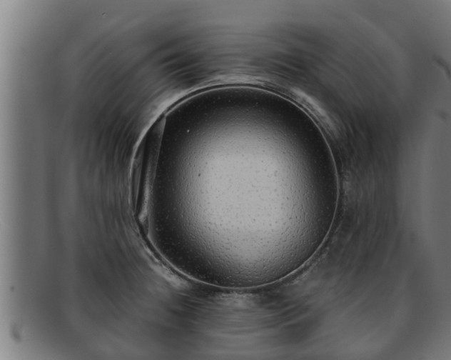 X0000091861236200709121324