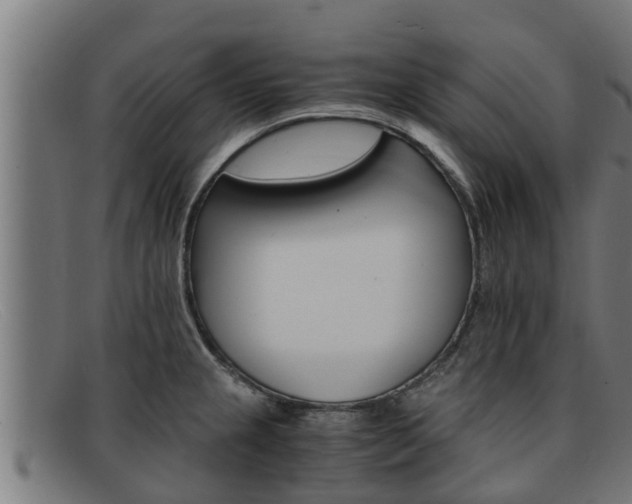 X0000091861237200709121324