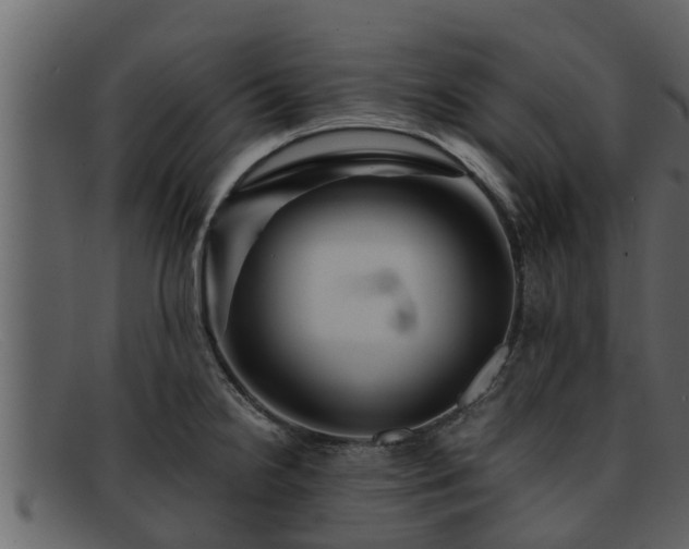 X0000091861238200709121324