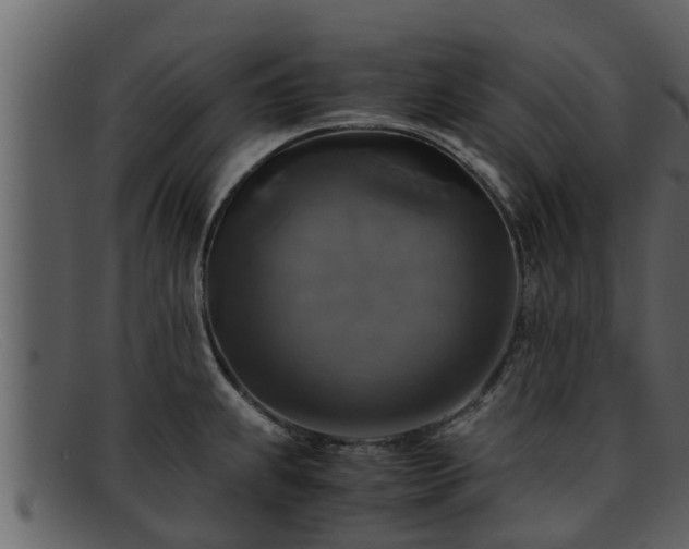 X0000091861239200709121324