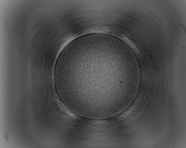 X0000091861240200709121324