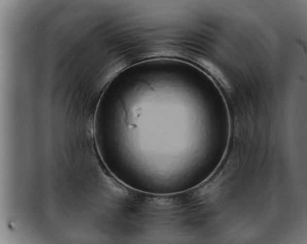 X0000091861241200709121324