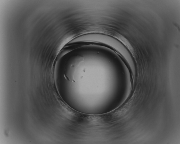 X0000091861242200709121324