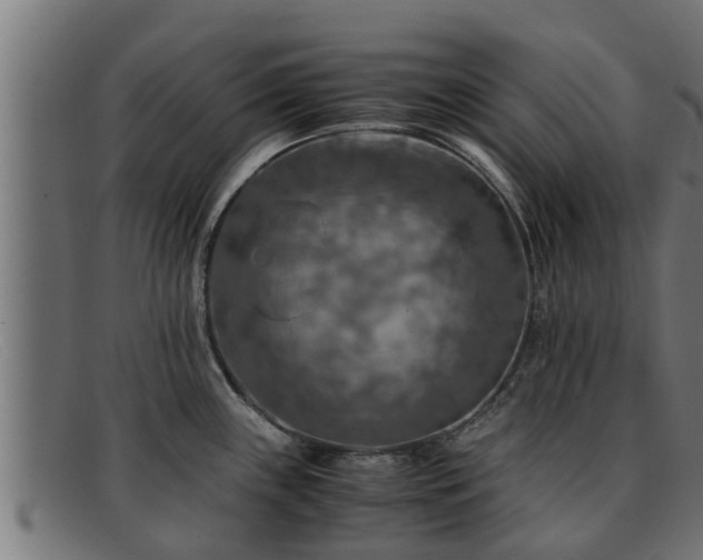 X0000091861243200709121324