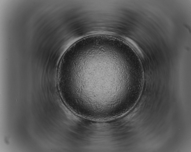 X0000091861244200709121324