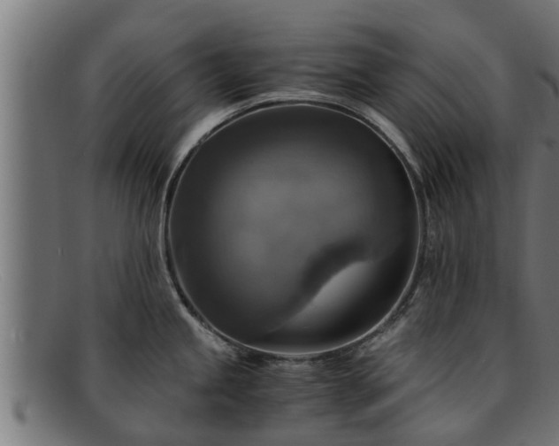 X0000091861245200709121324