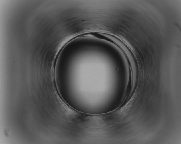 X0000091861246200709121324