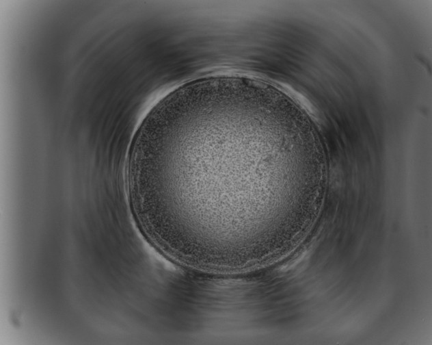 X0000091861247200709121324