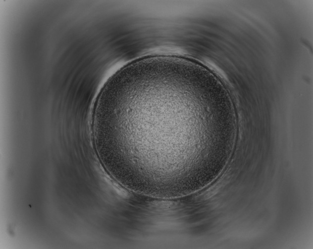 X0000091861248200709121324