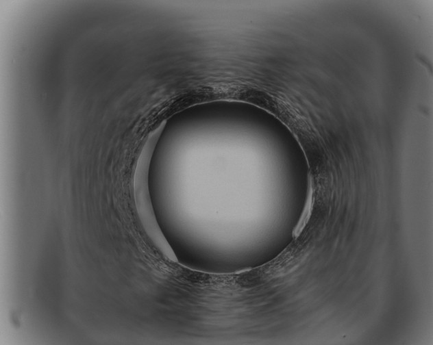 X0000091861249200709121323