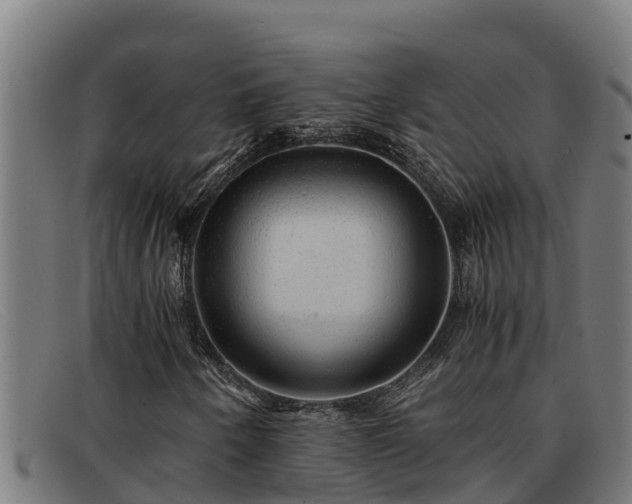 X0000091861250200709121323