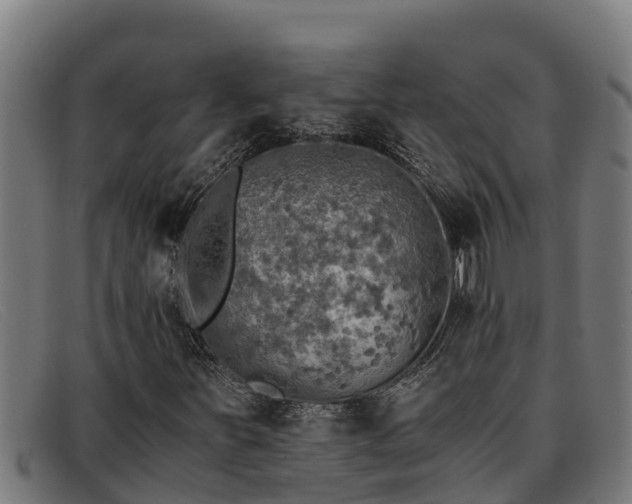 X0000091861251200709121323