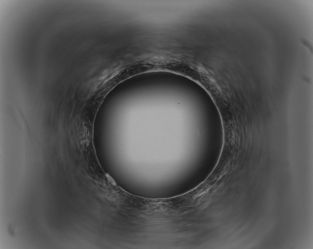 X0000091861253200709121323