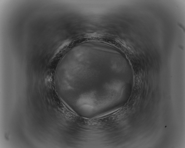 X0000091861254200709121323