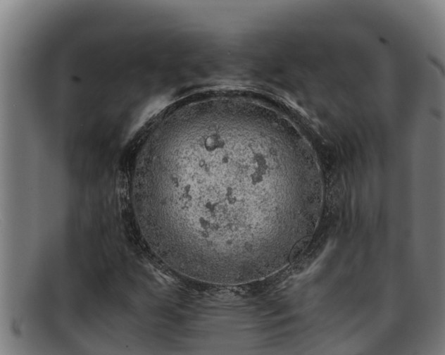 X0000091861255200709121323