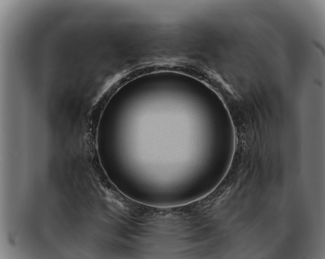 X0000091861256200709121323