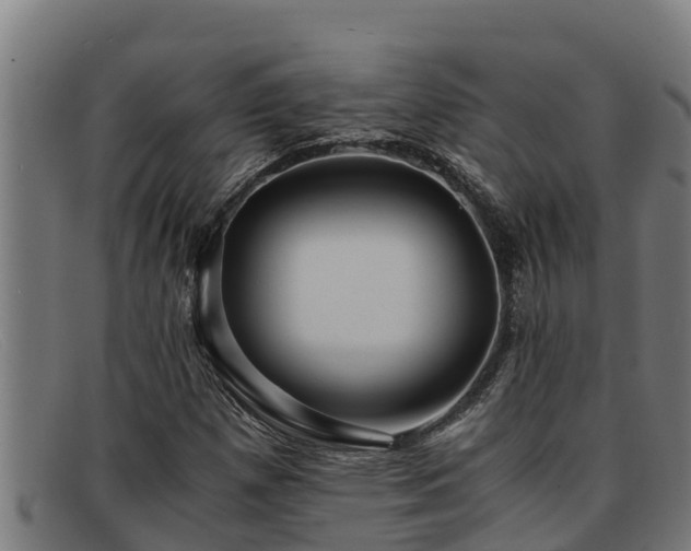 X0000091861257200709121323