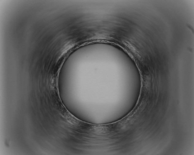 X0000091861258200709121323