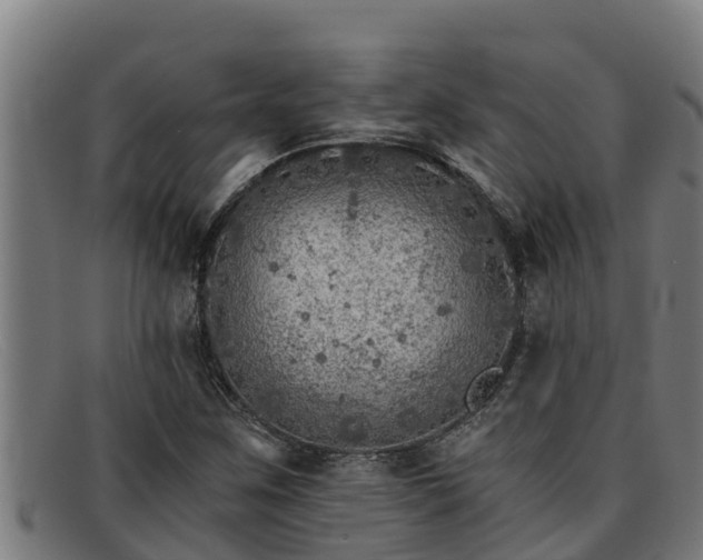 X0000091861259200709121323