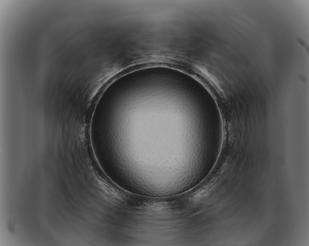 X0000091861260200709121323