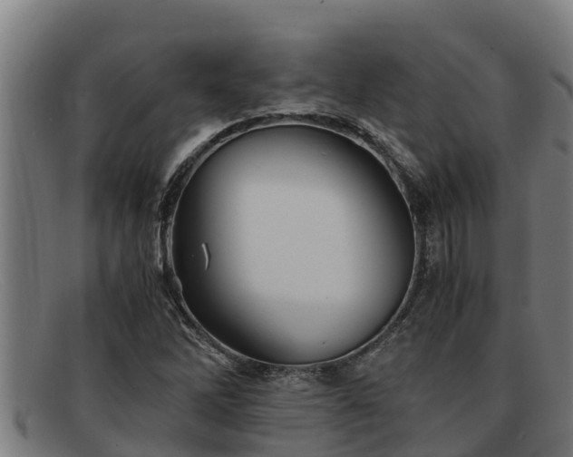 X0000091861262200709121323