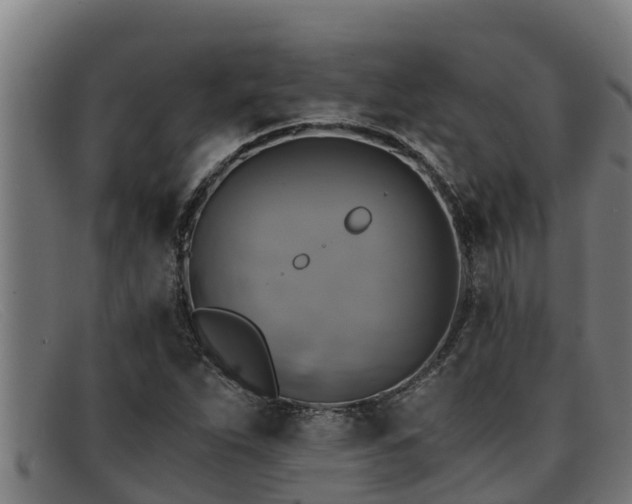 X0000091861263200709121323