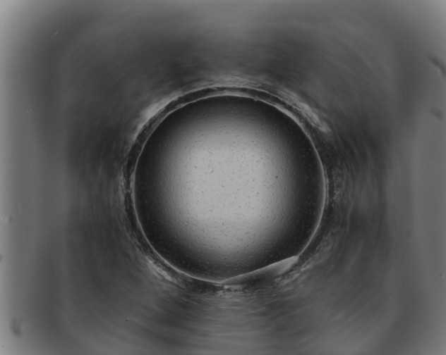 X0000091861264200709121323