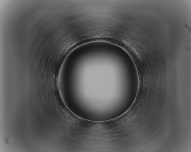 X0000091861265200709121323