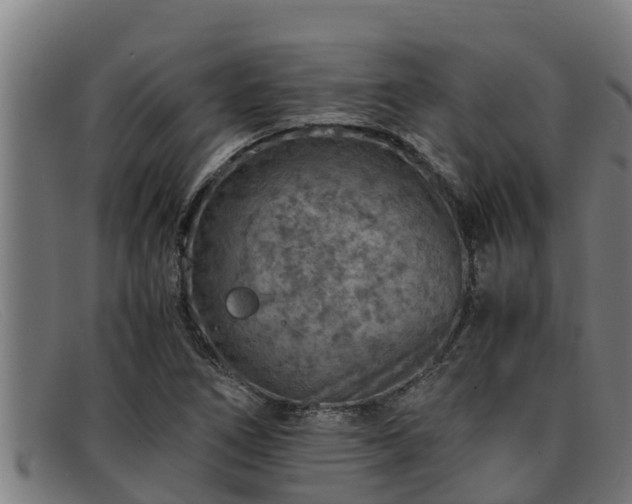 X0000091861266200709121323