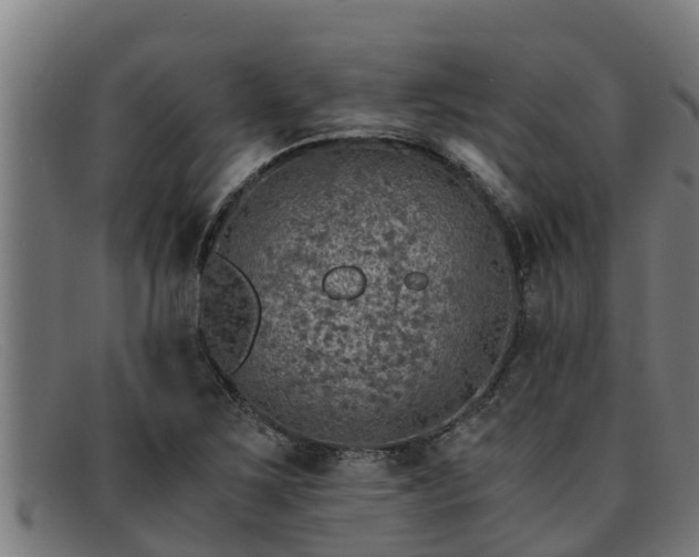 X0000091861267200709121323