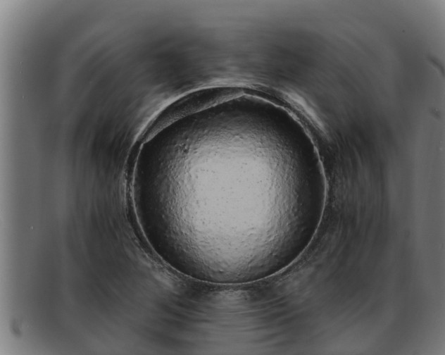 X0000091861268200709121323