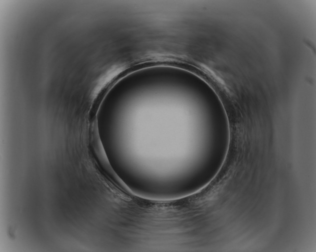 X0000091861269200709121323