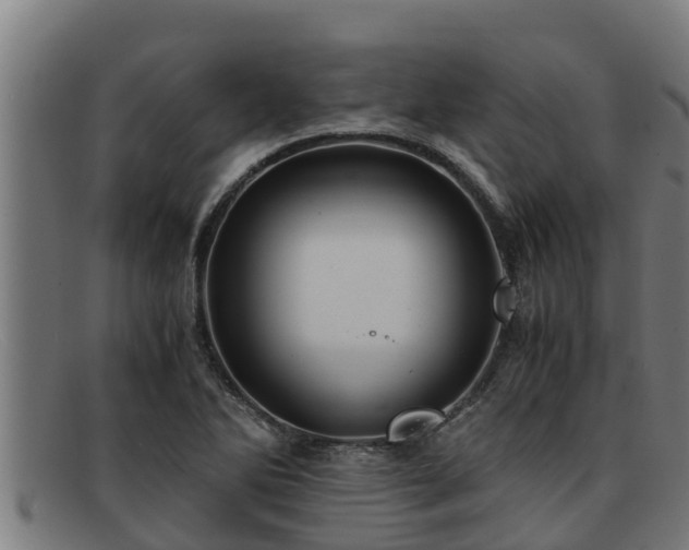 X0000091861270200709121323